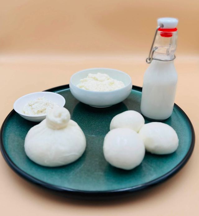 Burrata, mozzarella and ricotta on a green plate
